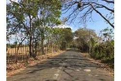 Land for Sale in Lagartero Santa Catalina, Veraguas. Panamá.