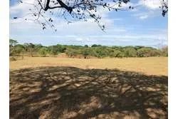 Land for Sale in Lagartero Santa Catalina, Veraguas. Panamá.