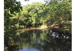 Land for Sale in Lagartero Santa Catalina, Veraguas. Panamá.