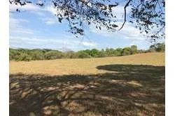 Land for Sale in Lagartero Santa Catalina, Veraguas. Panamá.