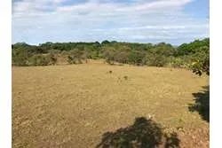 Land for Sale in Lagartero Santa Catalina, Veraguas. Panamá.