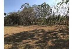Land for Sale in Lagartero Santa Catalina, Veraguas. Panamá.
