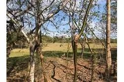 Land for Sale in Lagartero Santa Catalina, Veraguas. Panamá.