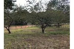 Land for Sale in Santa Catalina, Veraguas. Panamá.