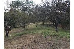 Land for Sale in Santa Catalina, Veraguas. Panamá.