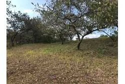 Land for Sale in Santa Catalina, Veraguas. Panamá.