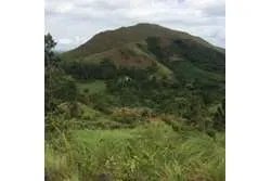 Spacious Land For Sale in Santa Fe, Veraguas. Panamá.