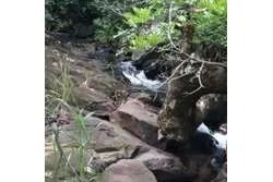 Spacious Land For Sale in Santa Fe, Veraguas. Panamá.