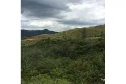 Spacious Land For Sale in Santa Fe, Veraguas. Panamá.
