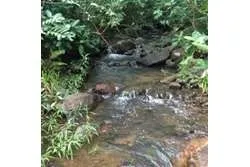 Se Vende Amplio Terreno en Santa Fe, Veraguas. Panamá.