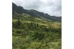 Se Vende Amplio Terreno en Santa Fe, Veraguas. Panamá.