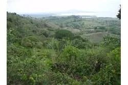 Lot of 48 Hectares in Playa Leona Chorrera for Sale