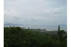 Lot of 48 Hectares in Playa Leona Chorrera for Sale