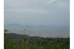 Lot of 48 Hectares in Playa Leona Chorrera for Sale