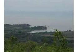 Lot of 48 Hectares in Playa Leona Chorrera for Sale