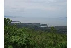 Lot of 48 Hectares in Playa Leona Chorrera for Sale