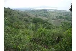 Se Vende Lote de 48 Hectáreas en Playa Leona Chorrera