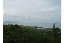 Se Vende Lote de 48 Hectáreas en Playa Leona Chorrera