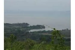 Se Vende Lote de 48 Hectáreas en Playa Leona Chorrera