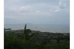 Se Vende Lote de 48 Hectáreas en Playa Leona Chorrera