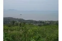 Se Vende Lote de 48 Hectáreas en Playa Leona Chorrera