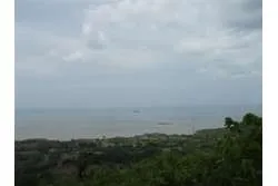 Se Vende Lote de 48 Hectáreas en Playa Leona Chorrera
