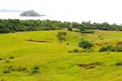 Property For Sale in Playa Morrillo, Veraguas.