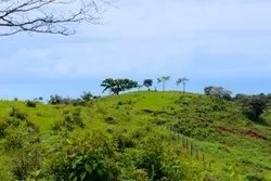Property For Sale in Playa Morrillo, Veraguas.