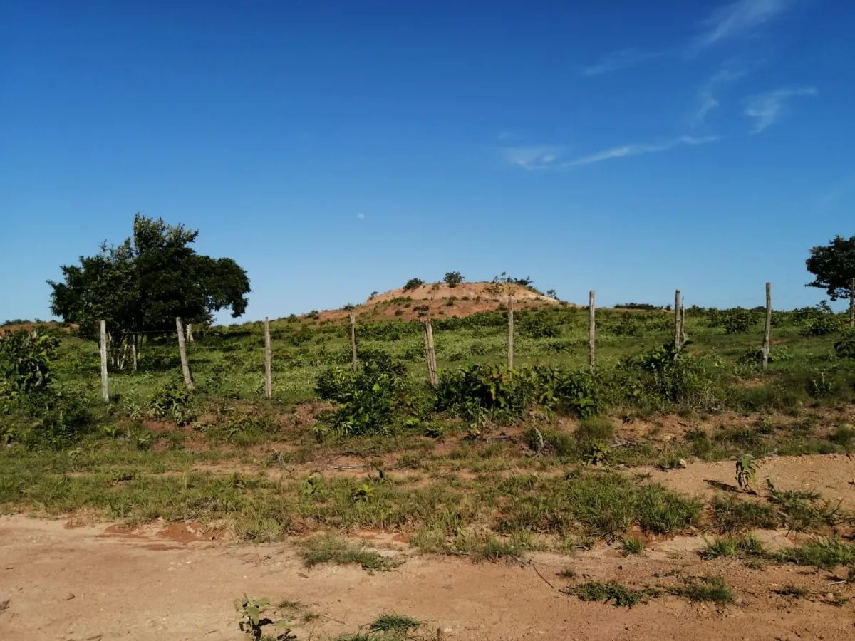 Two hectares near Aguadulce - flat with a vantage hill with electricity and well