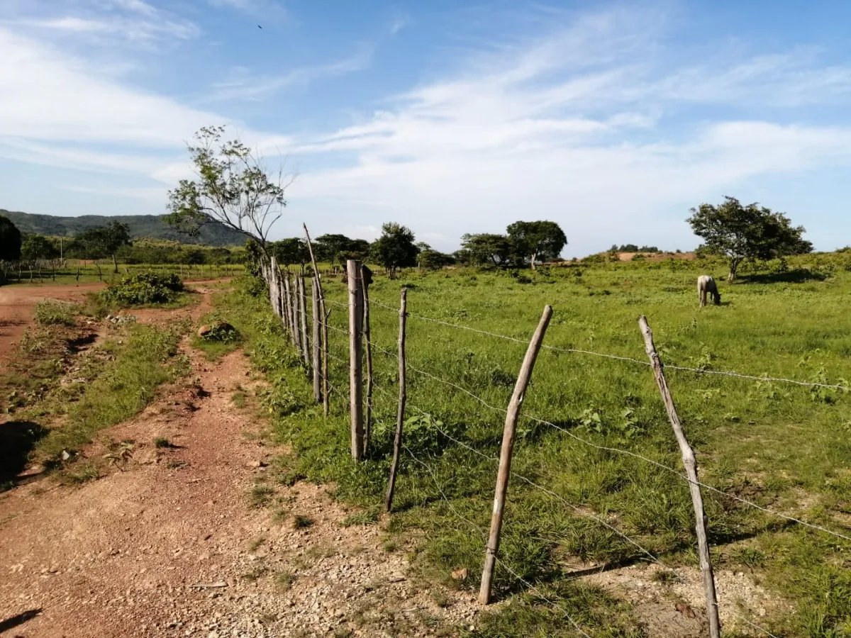Two hectares near Aguadulce - flat with a vantage hill with electricity and well