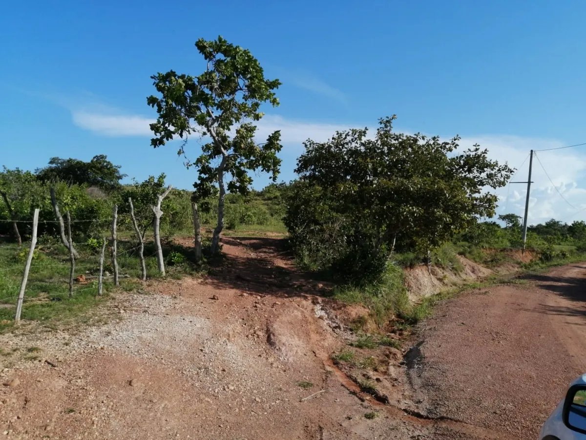 Two hectares near Aguadulce - flat with a vantage hill with electricity and well