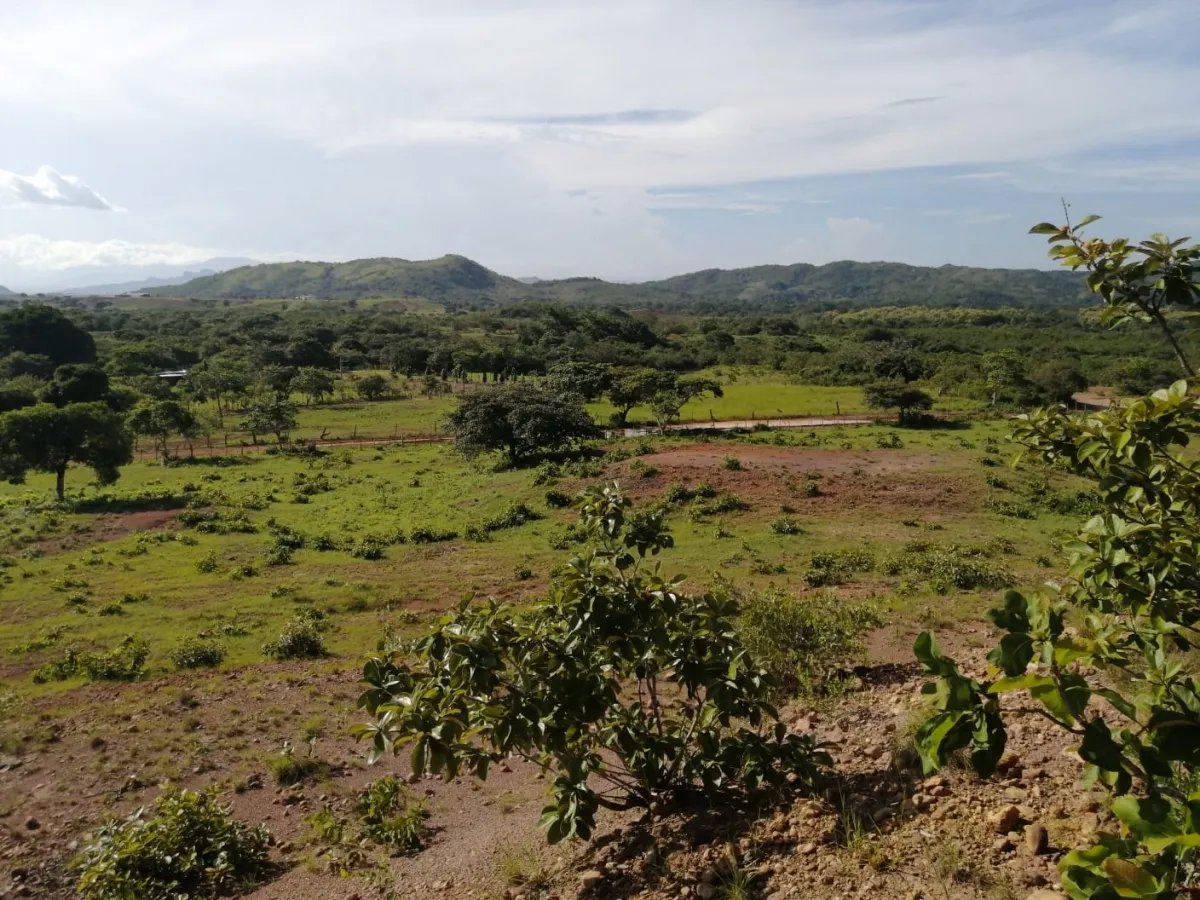Two hectares near Aguadulce - flat with a vantage hill with electricity and well