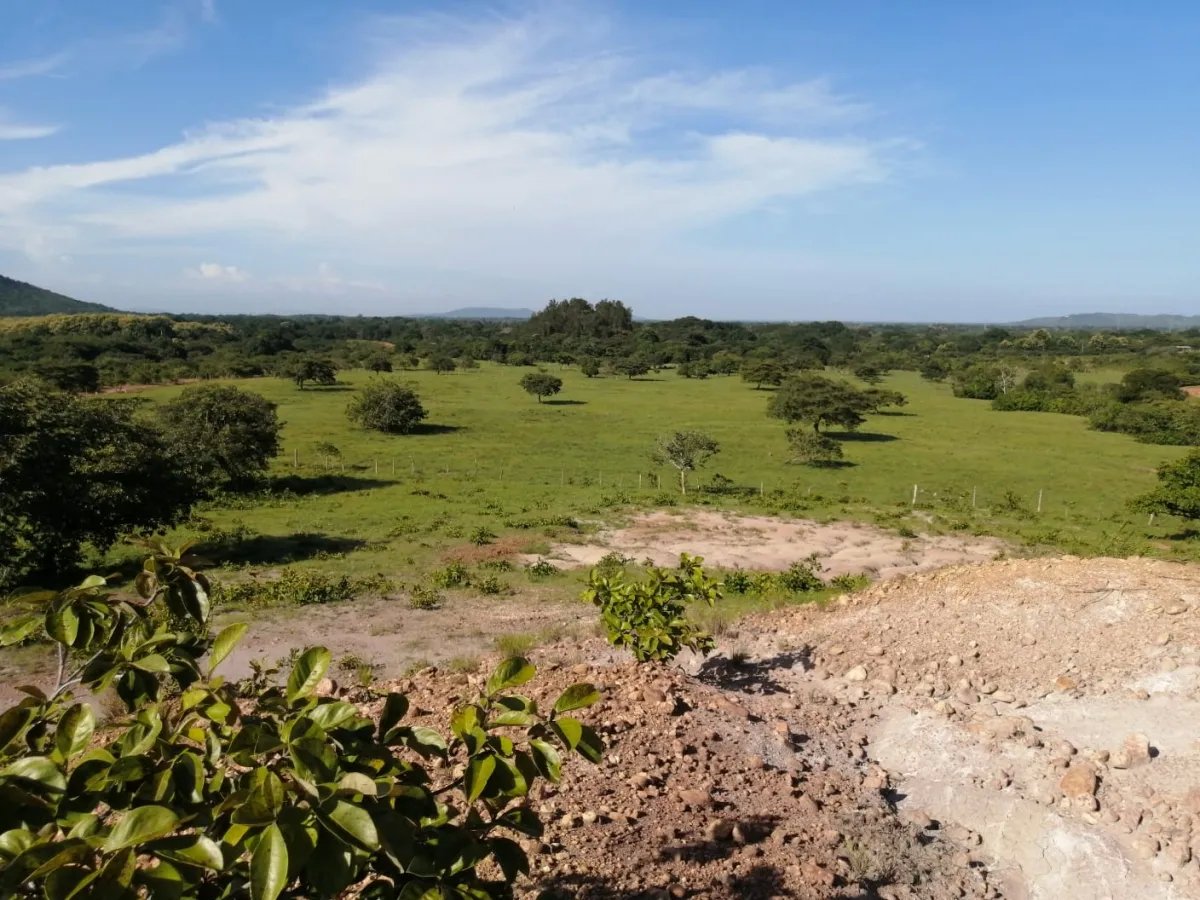Two hectares near Aguadulce - flat with a vantage hill with electricity and well