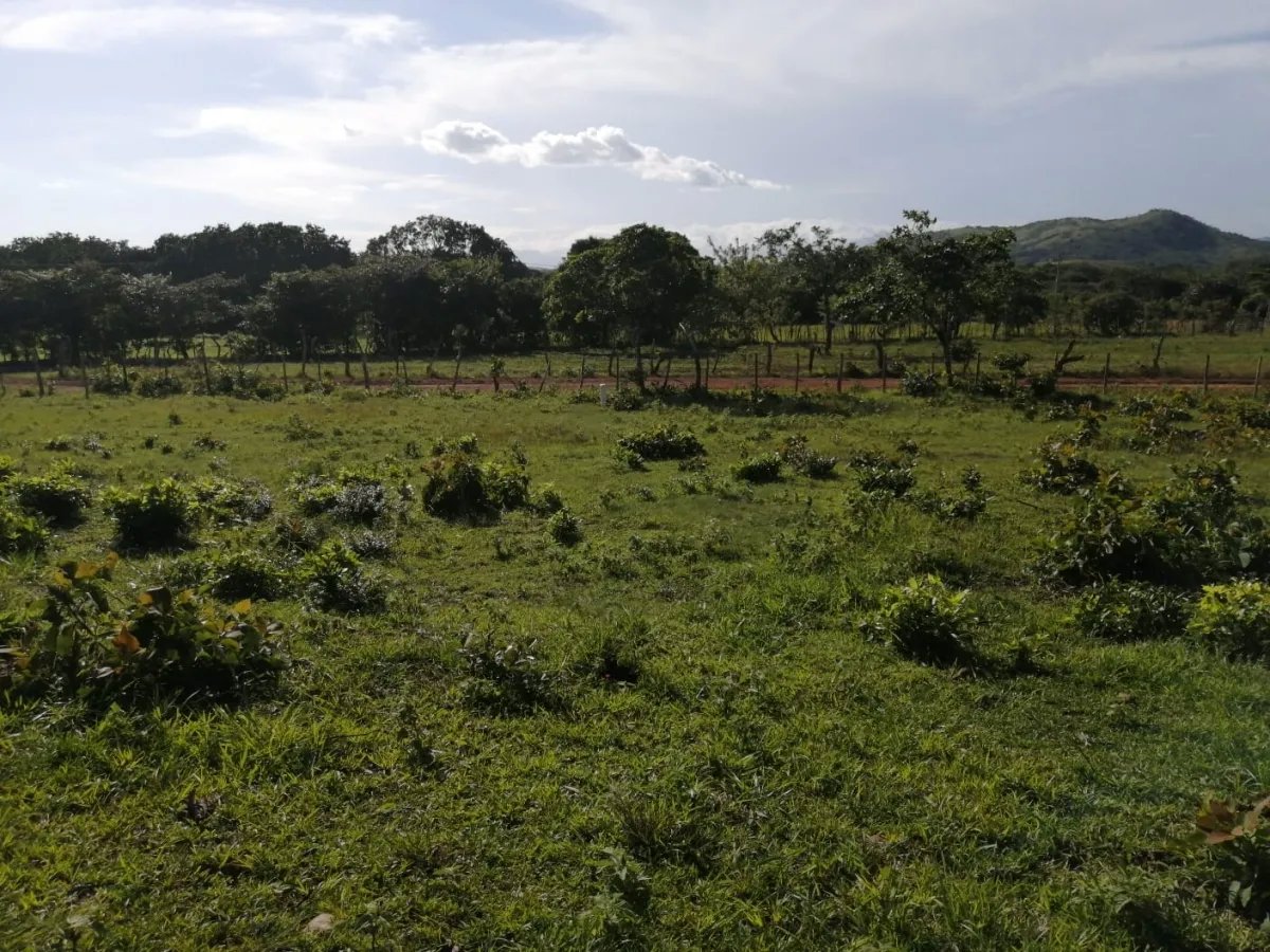 Two hectares near Aguadulce - flat with a vantage hill with electricity and well