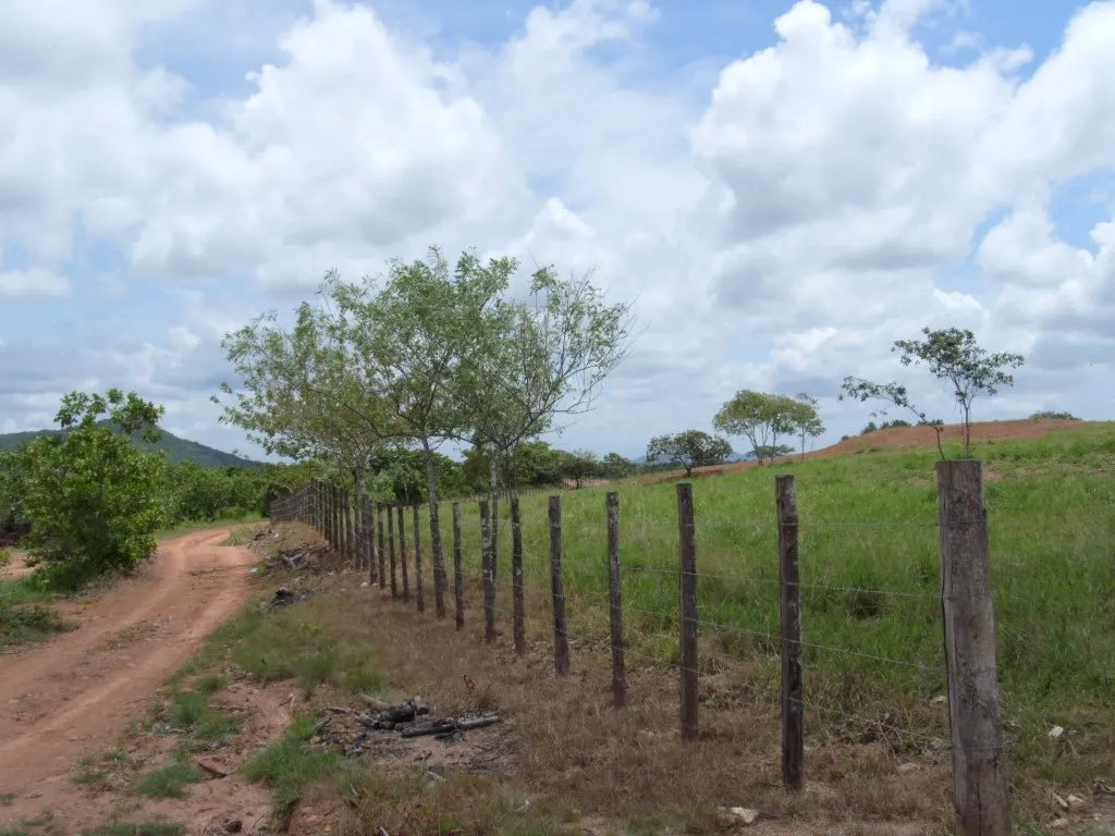 Two hectares near Aguadulce - flat with a vantage hill with electricity and well