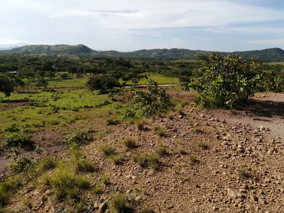 Two hectares near Aguadulce - flat with a vantage hill with electricity and well