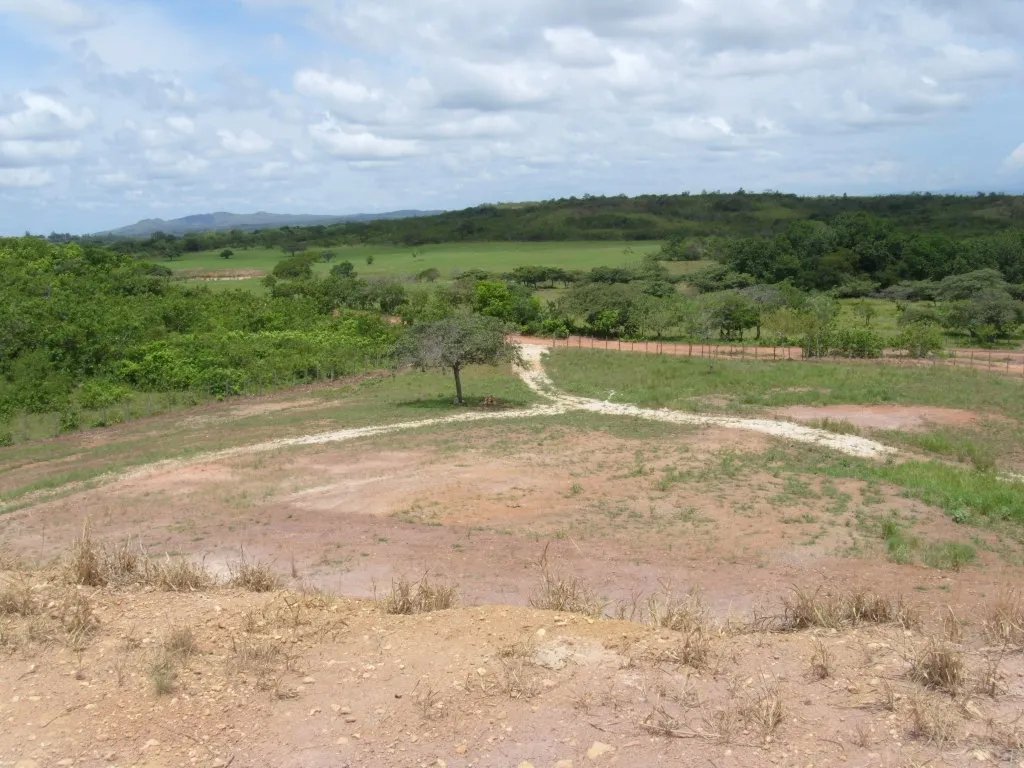 Two hectares near Aguadulce - flat with a vantage hill with electricity and well