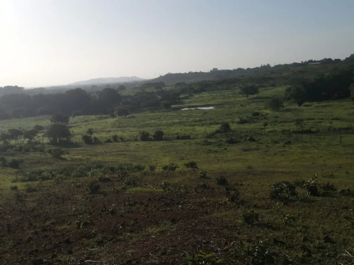 Over 5 hectares near Aguadulce with easy access