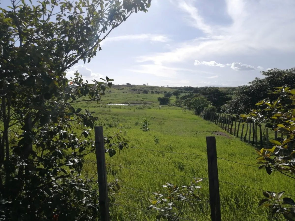 Over 5 hectares near Aguadulce with easy access
