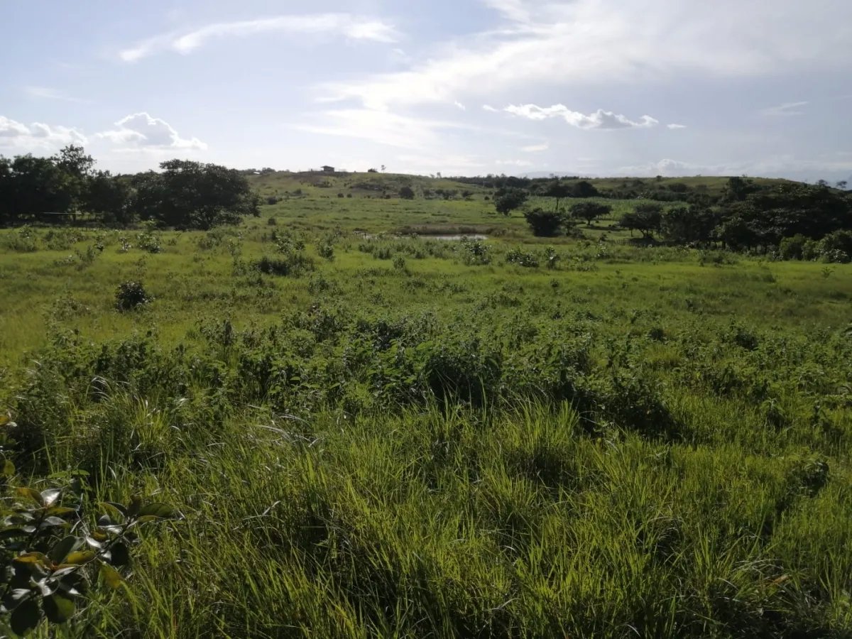 Over 5 hectares near Aguadulce with easy access