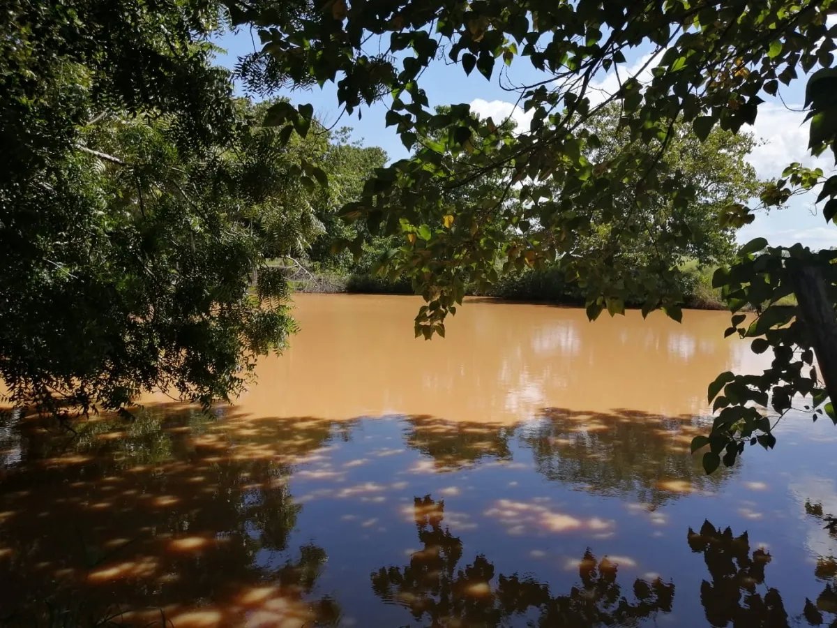 Over 5 hectares near Aguadulce with easy access