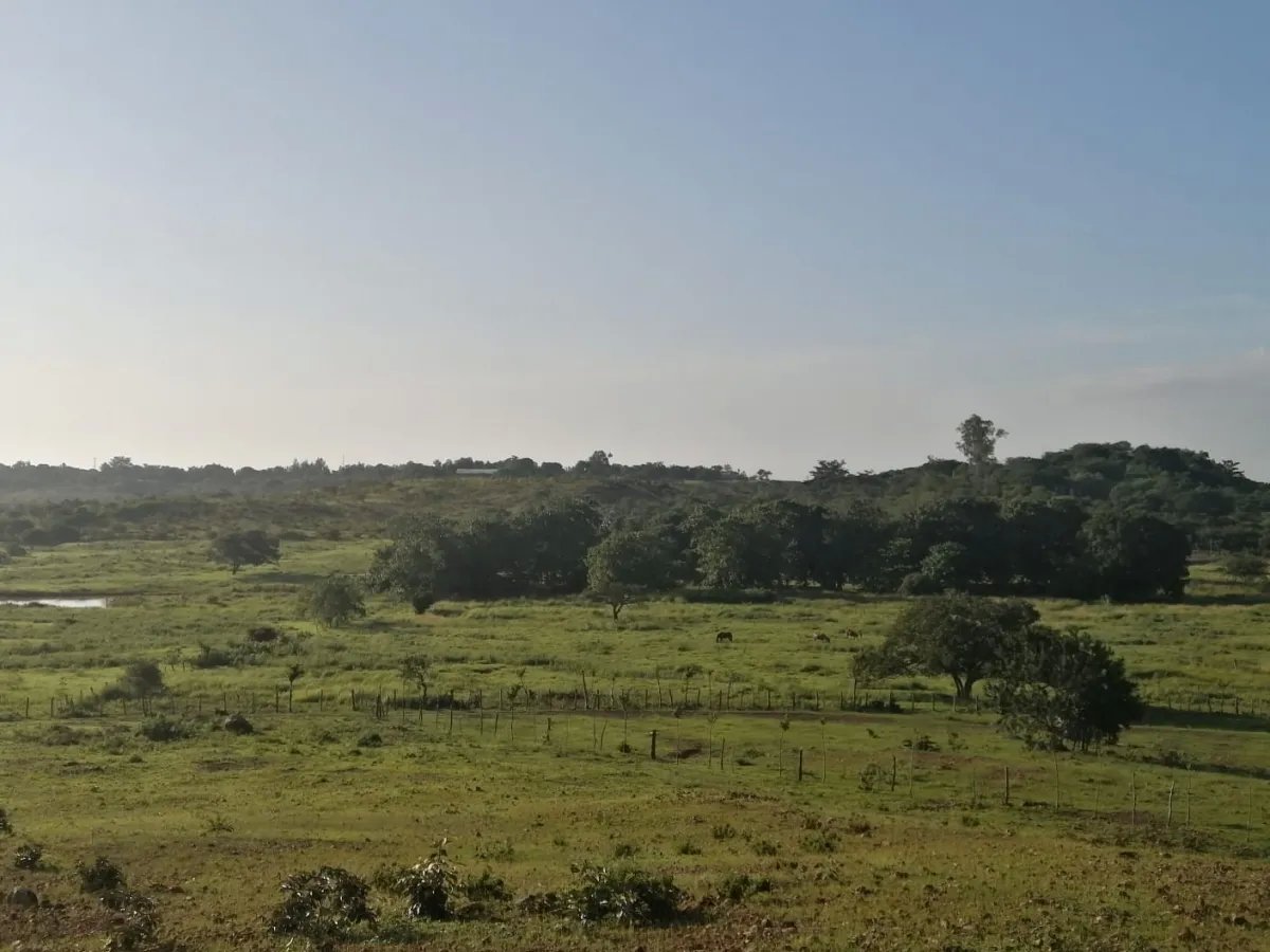 Over 5 hectares near Aguadulce with easy access