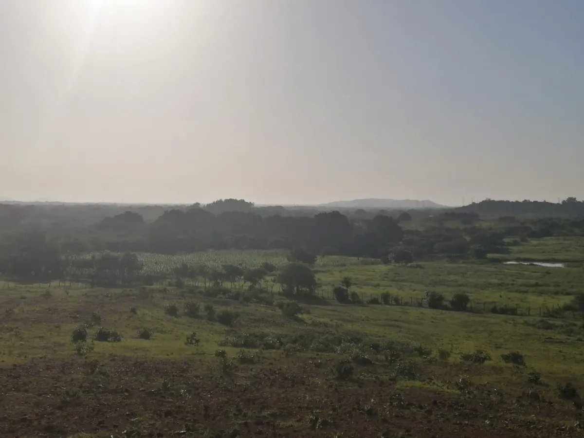 Over 5 hectares near Aguadulce with easy access