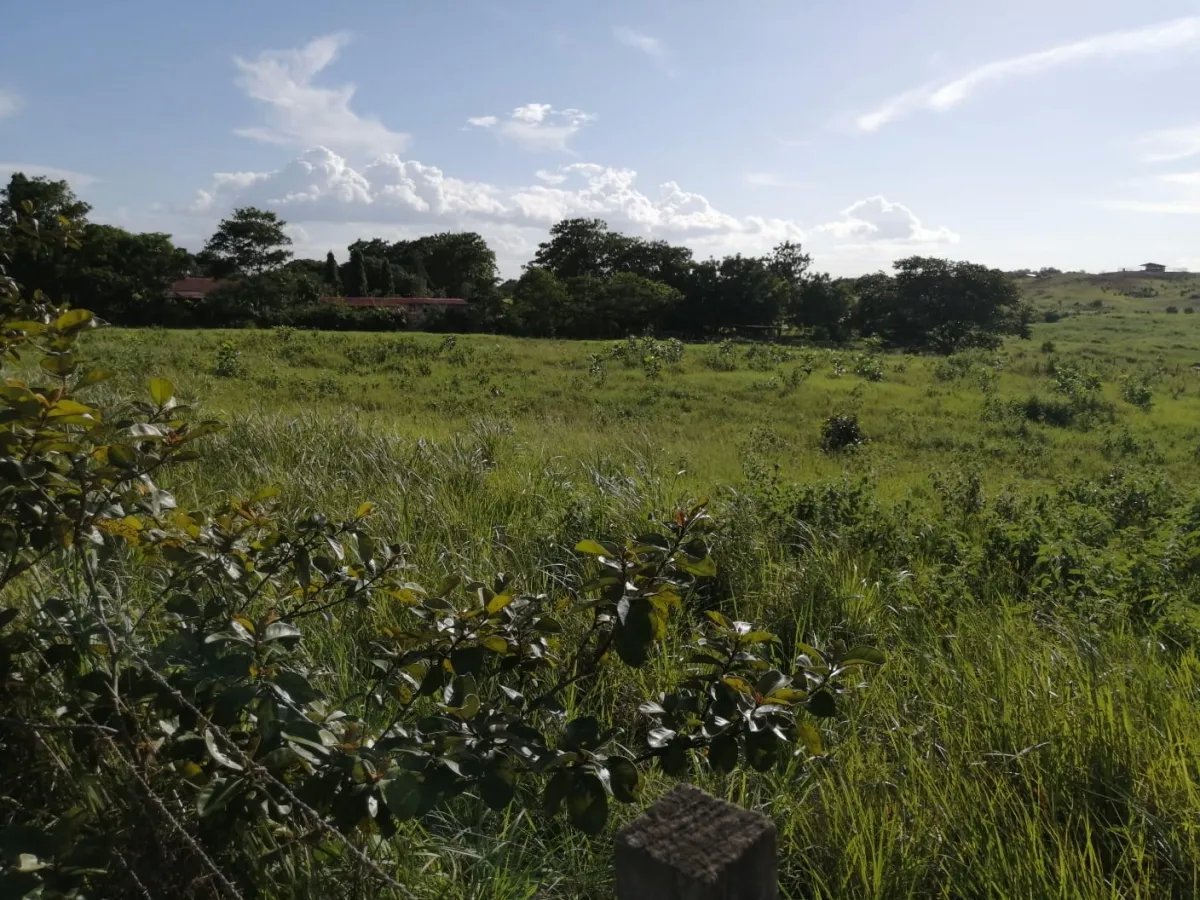 Over 5 hectares near Aguadulce with easy access