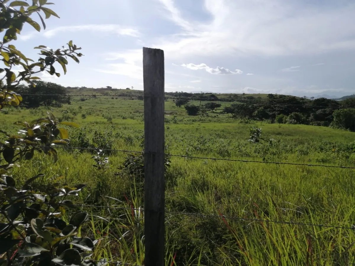 Over 5 hectares near Aguadulce with easy access