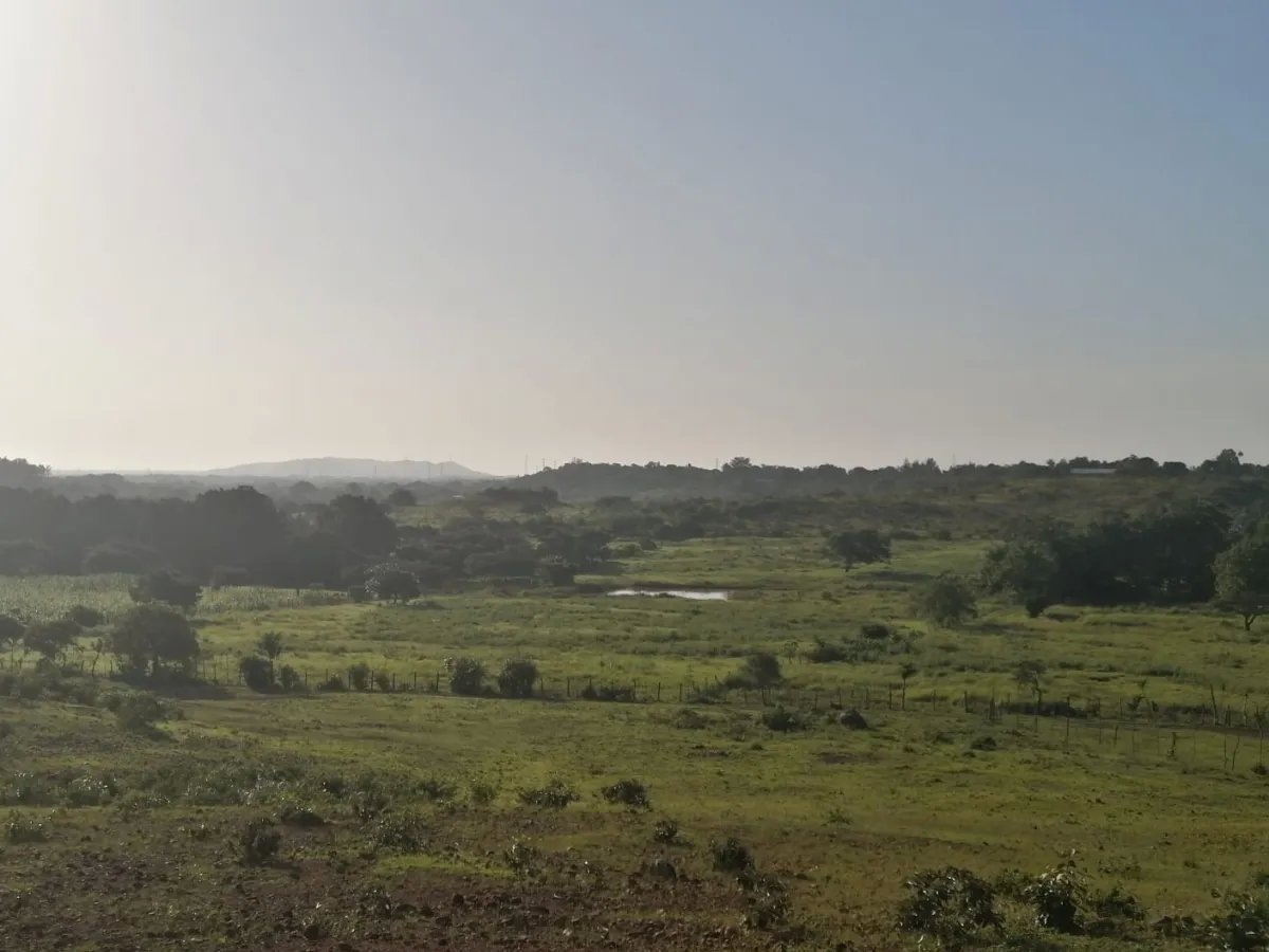 Over 5 hectares near Aguadulce with easy access