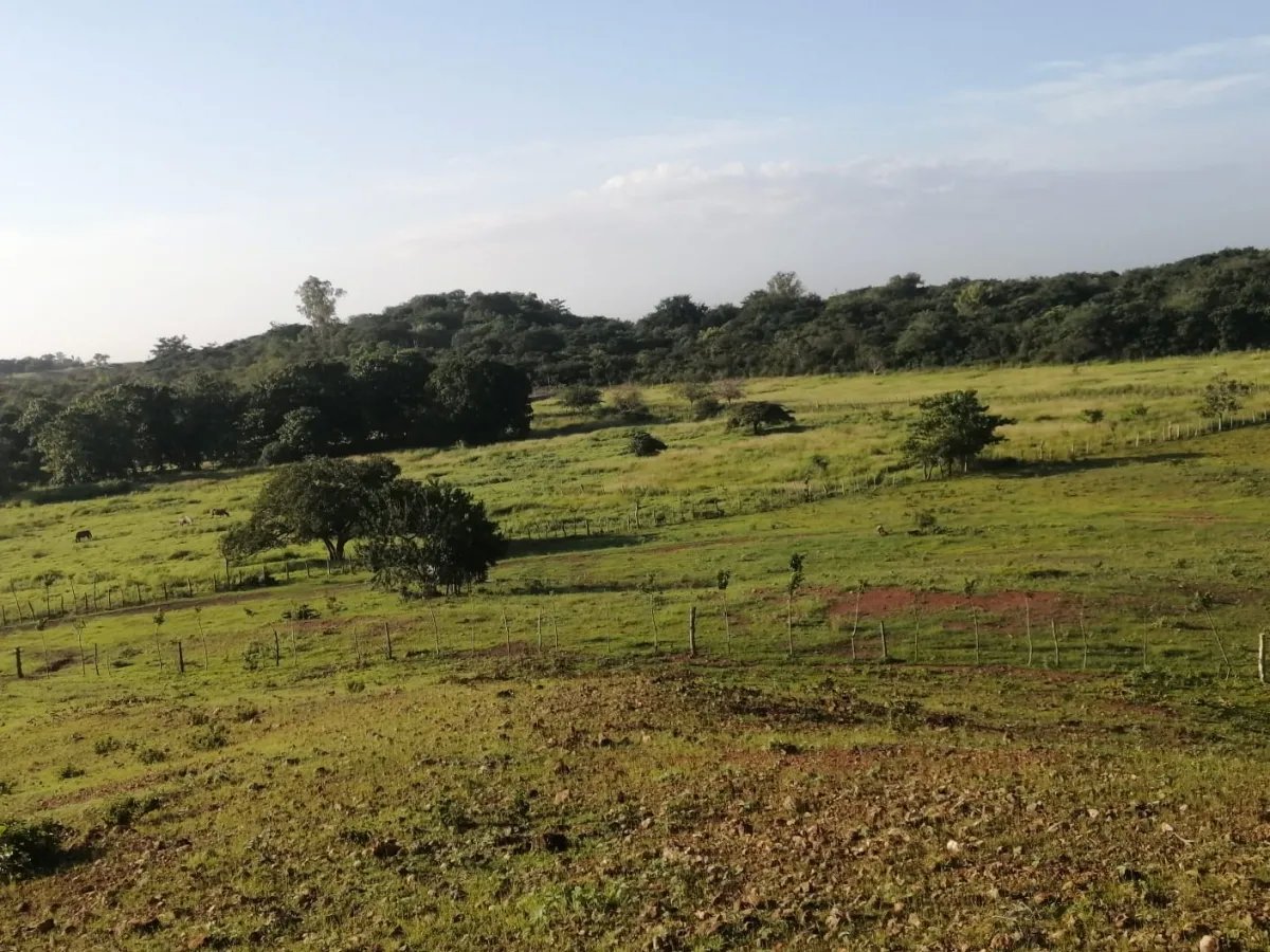 Over 5 hectares near Aguadulce with easy access