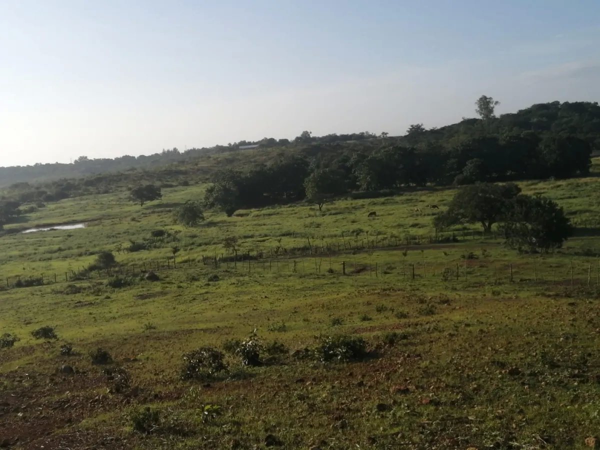 Over 5 hectares near Aguadulce with easy access