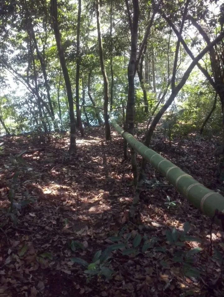 SE VENDE 3 ISLOTES FRENTE A BAHIA ONDA, SONÁ. PERFECTO PARA INVERTIR
