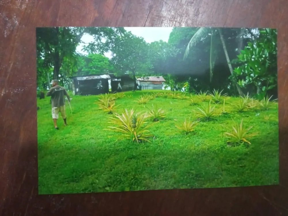 ISLAND OF 17 HECTARES FOR SALE IN VERAGUAS.